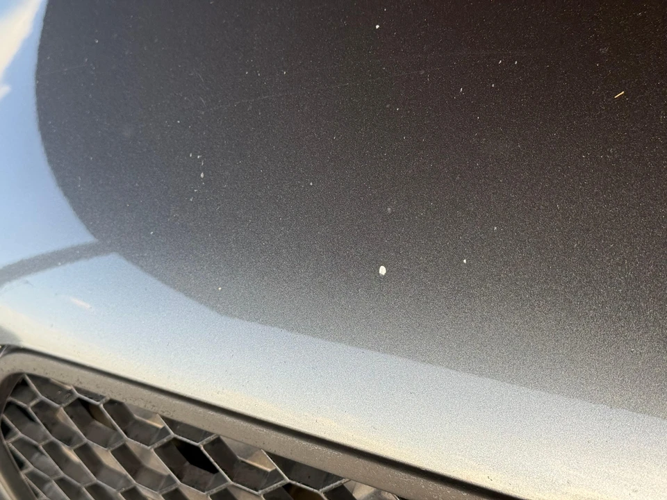 2016 Audi B8 S4 - Image 21 of 31