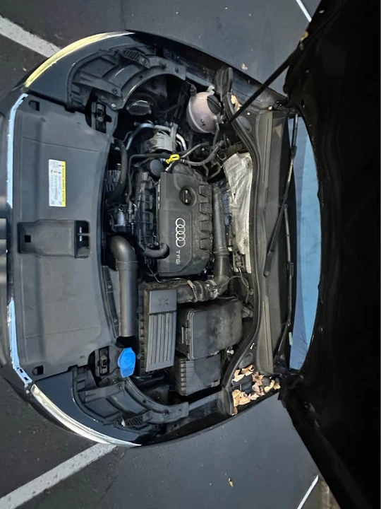 2016 Audi 8U Q3 - Image 11 of 11