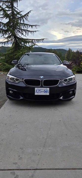 2016 BMW 4 Series - Image 2 of 8