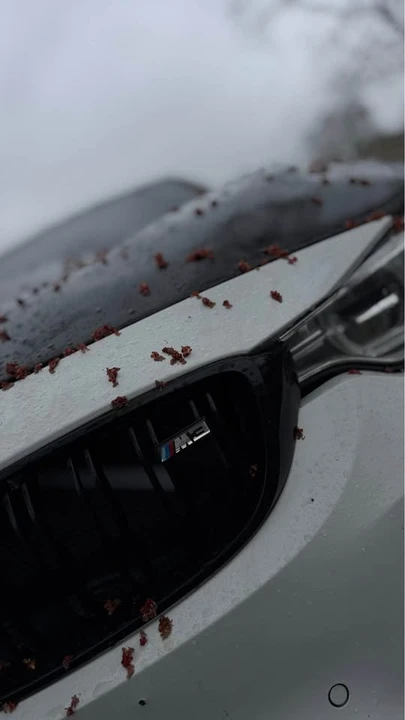 2016 BMW F80 M3 - Image 4 of 11
