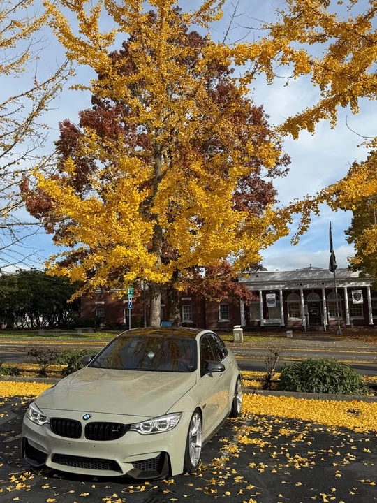2016 BMW F80 M3 - Image 15 of 17