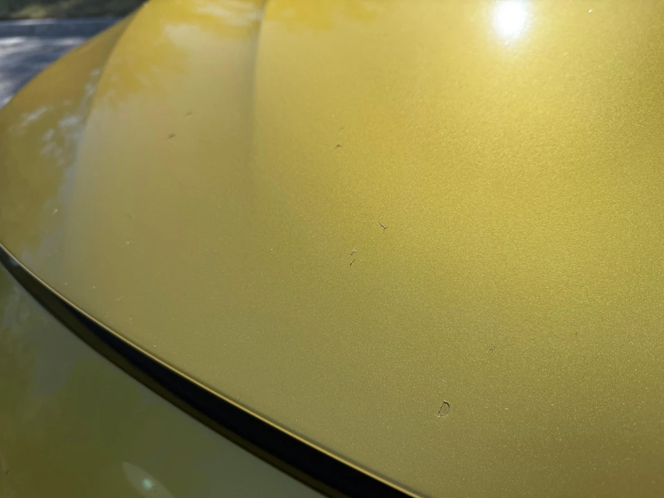 2016 BMW F80 M3 - Image 30 of 31