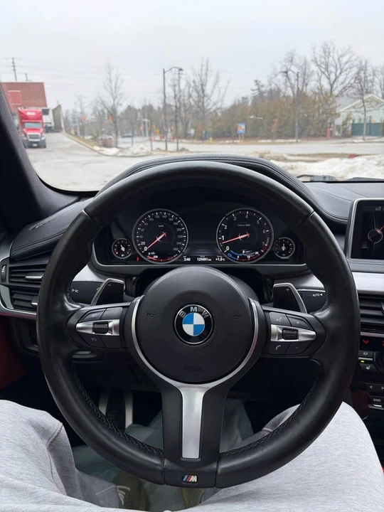 2016 BMW F16 X6 - Image 18 of 19