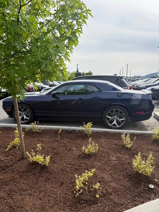 2016 Dodge Challenger 3rd Gen - Image 8 of 9