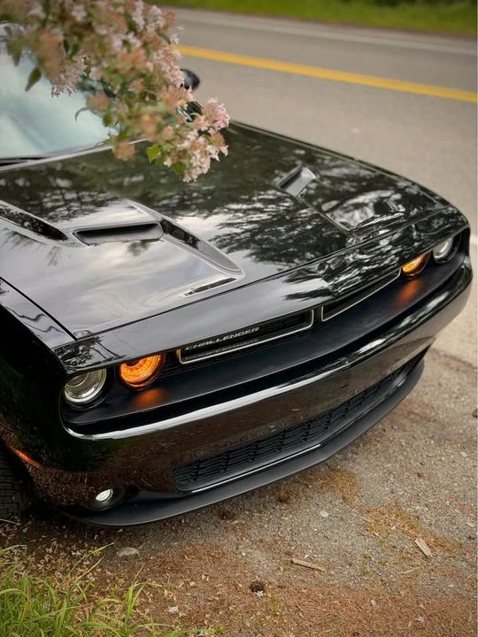 2016 Dodge Challenger 3rd Gen - Image 3 of 11