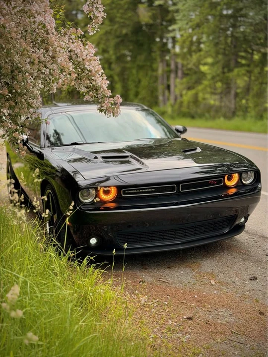 2016 Dodge Challenger 3rd Gen - Image 2 of 11