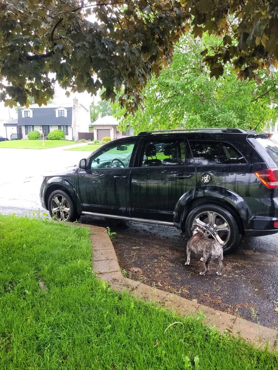 2016 Dodge Journey - Image 3 of 10