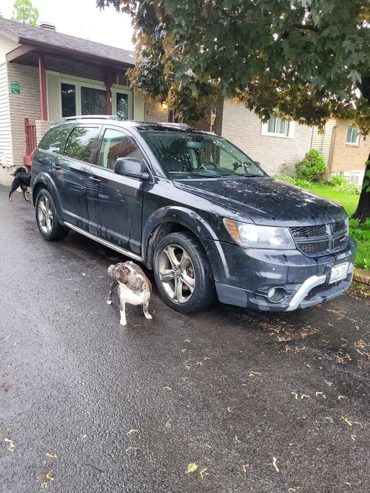 2016 Dodge Journey - Image 4 of 10