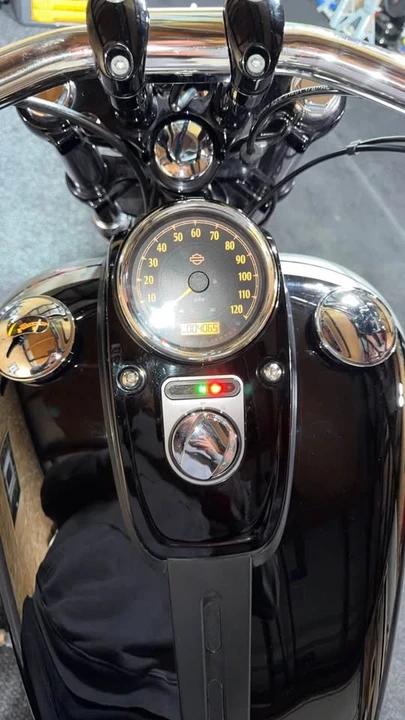 2016 Harley-Davidson Dyna Twin Cam - Image 10 of 10