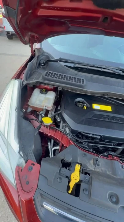 2016 Ford Escape - Image 14 of 14