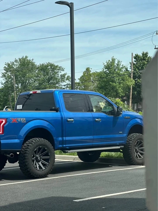 2016 Ford F-150 13th Gen - Image 8 of 9