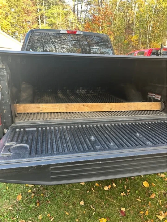 2016 Ford F-150 13th Gen - Image 6 of 10