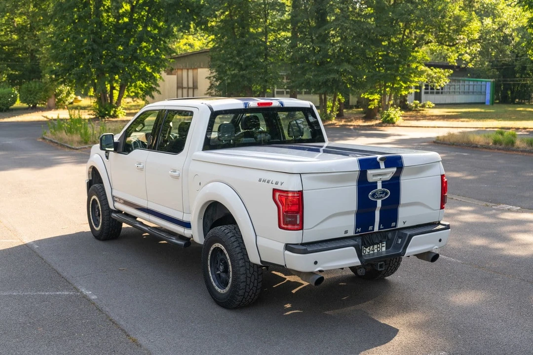2016 Ford F-150 13th Gen - Image 15 of 31