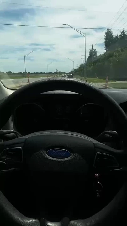 2016 Ford Focus - Image 14 of 14