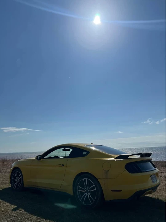 2016 Ford S550 Mustang - Image 2 of 10