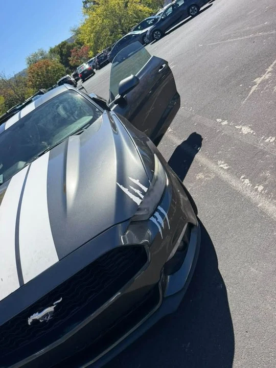 2016 Ford S550 Mustang - Image 3 of 10