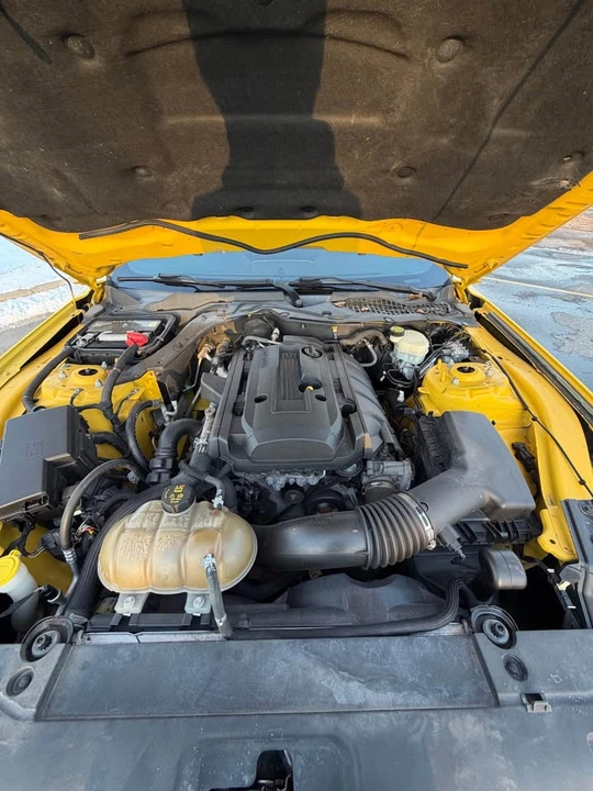 2016 Ford S550 Mustang - Image 15 of 15