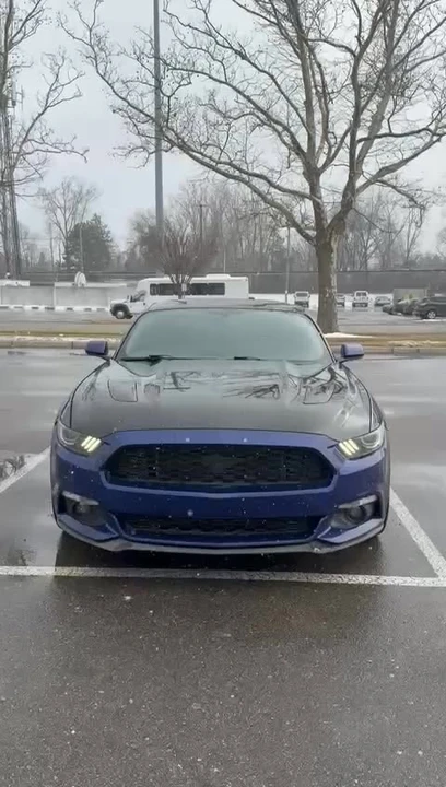 2016 Ford S550 Mustang GT - Image 15 of 15