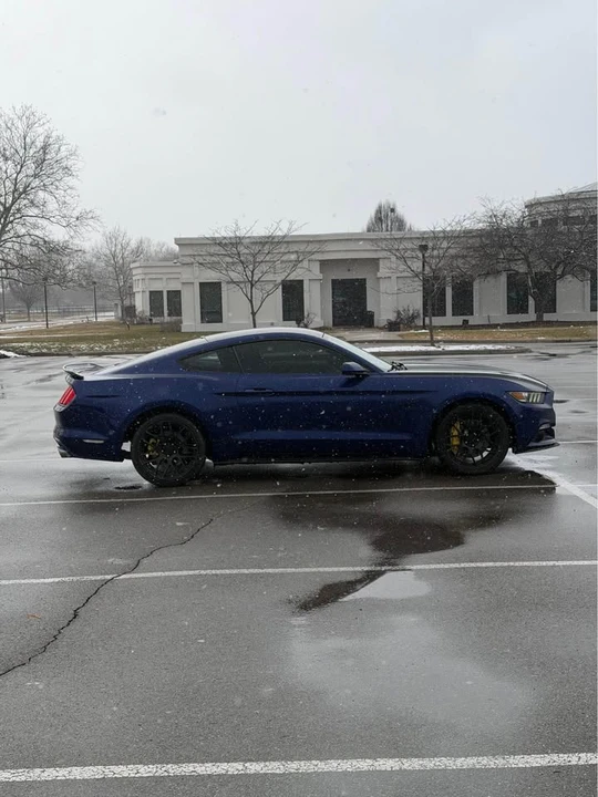2016 Ford S550 Mustang GT - Image 8 of 15