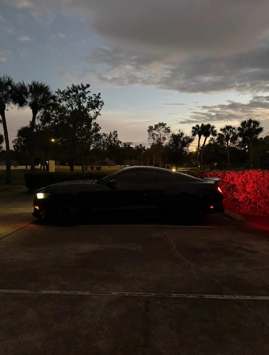 2016 Ford S550 Mustang GT - Image 6 of 19