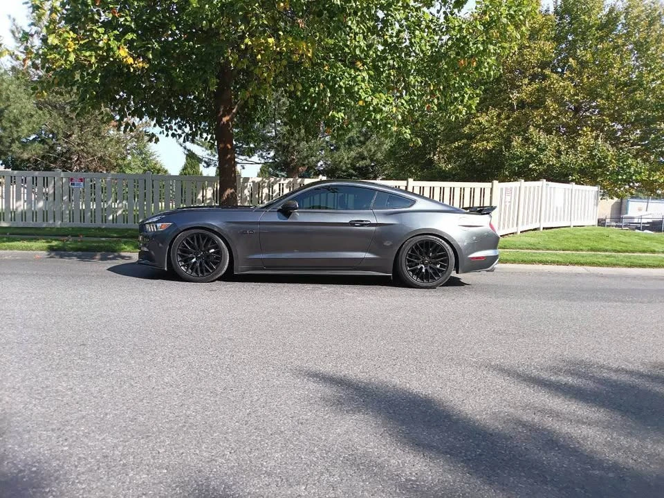 2016 Ford S550 Mustang GT - Image 6 of 14