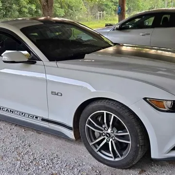 2016 Ford Mustang GT Deluxe Coupe 2D