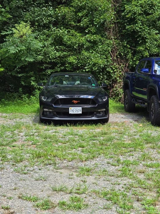 2016 Ford S550 Mustang GT - Image 3 of 9