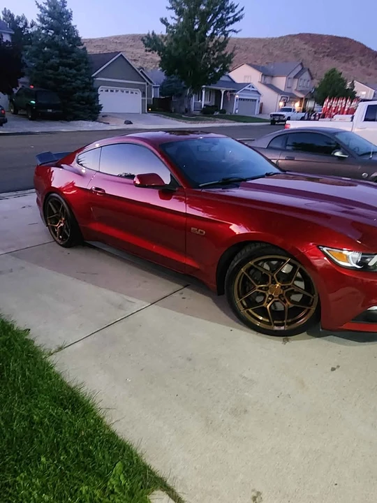 2016 Ford S550 Mustang GT - Image 15 of 16