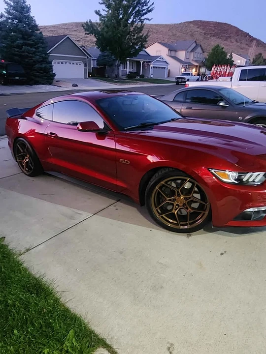 2016 Ford S550 Mustang GT - Image 14 of 16