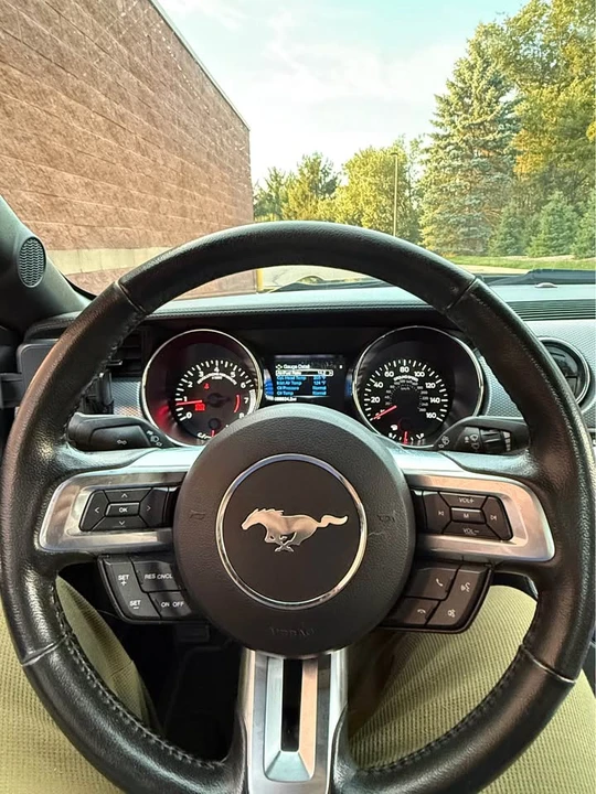 2016 Ford S550 Mustang GT - Image 14 of 18
