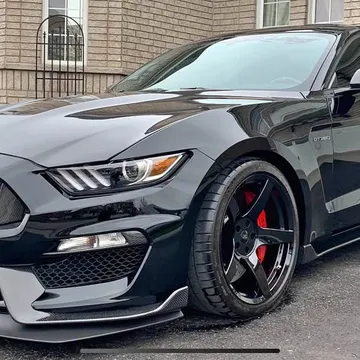 2016 Ford Mustang Shelby GT350 Track Pack