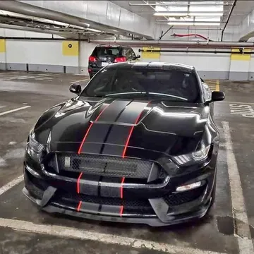 2016 Ford Mustang Shelby GT350