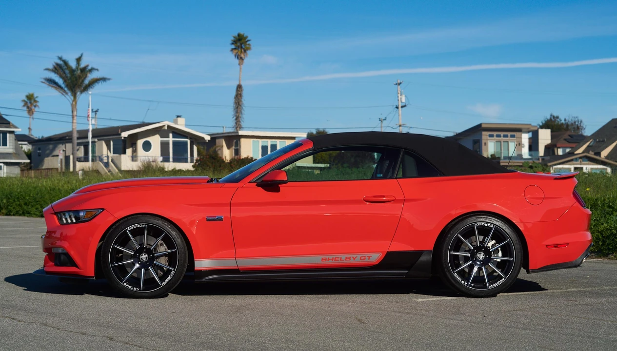 2016 Ford S550 Shelby Mustang GT & GT-H & Terlingua & GTE - Image 15 of 31