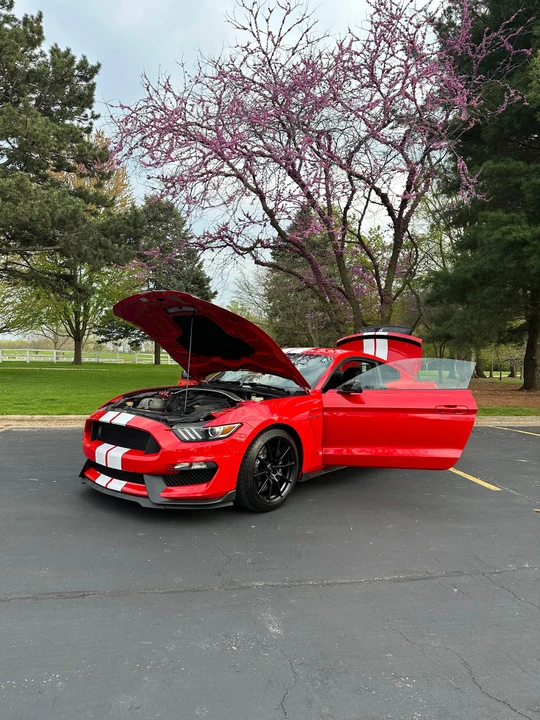 2016 Ford S550 Mustang - Image 24 of 31