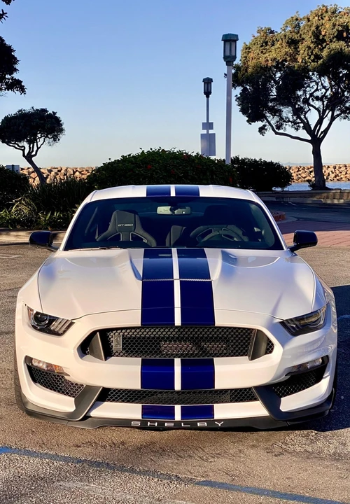 2016 Ford S550 Shelby Mustang GT350 - Image 14 of 31