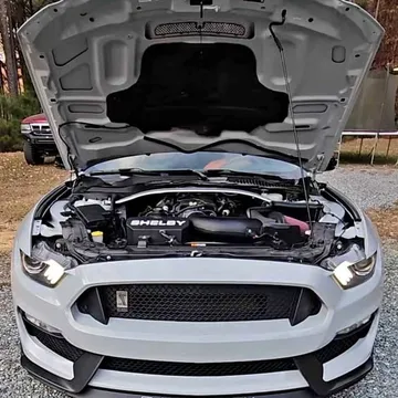 2016 Ford Mustang Shelby GT350 Coupe 2D