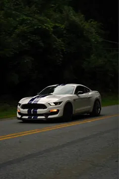 2016 Ford Mustang Shelby GT350