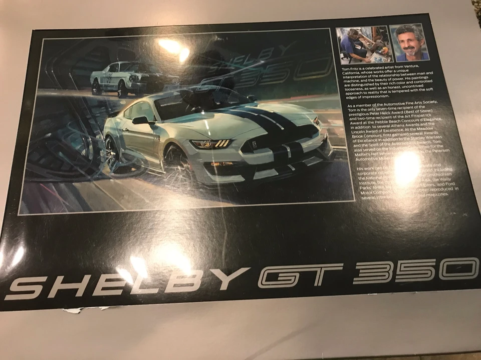 2016 Ford S550 Shelby Mustang GT350R - Image 29 of 31