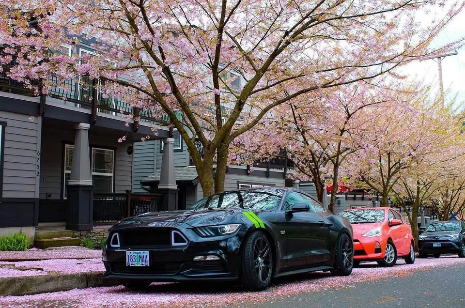 2016 Ford S550 Mustang - Image 2 of 15