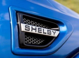 2016 Ford F-150 Raptor 13th Gen - Image 19 of 21
