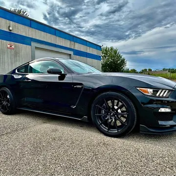 2016 Ford Shelby GT350