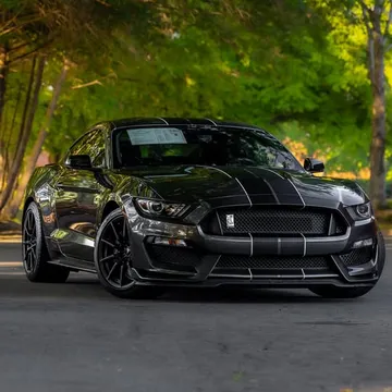 2016 Ford Shelby GT350 Fastback