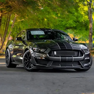 2016 Ford Shelby GT350 2dr Fastback
