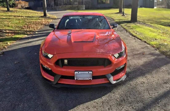 2016 Ford Shelby GT350