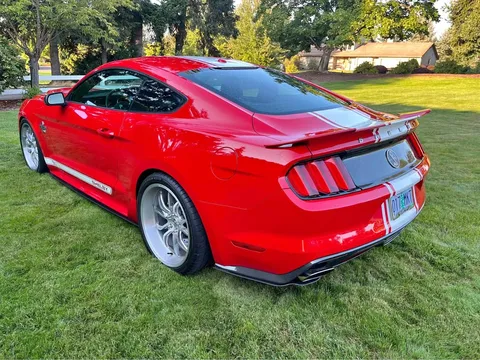 2016 Ford Shelby Supersnake