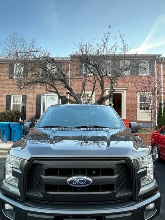 2016 Ford F-150 13th Gen - Image 2 of 13
