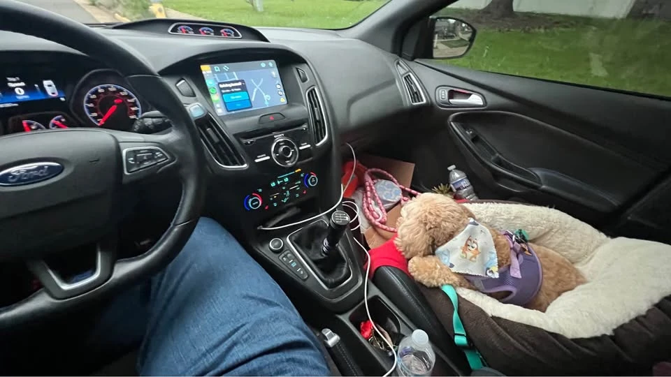 2016 Ford Focus RS 3rd Gen - Image 7 of 10