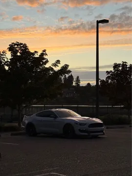 2016 Ford Mustang Shelby GT350