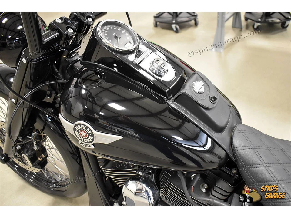 2016 Harley-Davidson Softail - Image 22 of 24