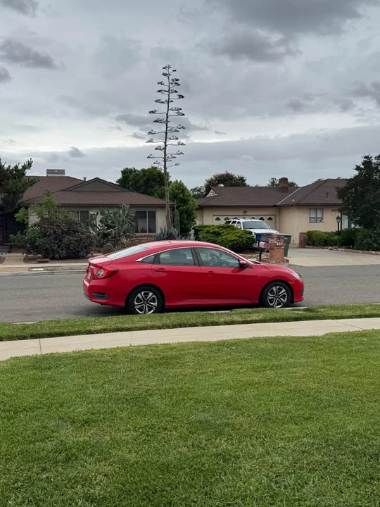 2016 Honda Civic 10th Gen - Image 19 of 20